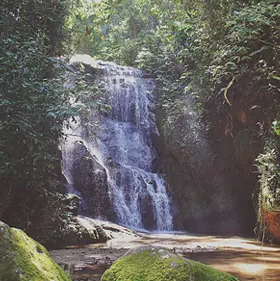 guabiruba